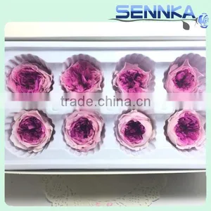Fresh Cut Roses Preserved Fresh Flower Asuting Rose For Wedding Decoration thumbnail-5