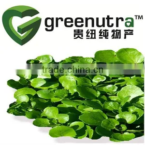 Nasturtium Officinale Extract thumbnail-1