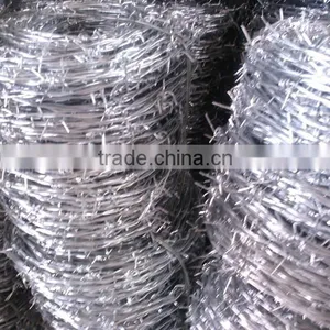 Barbed Iron Wire thumbnail-1