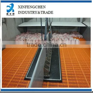 Dairy Plastic Pig Floor thumbnail-1