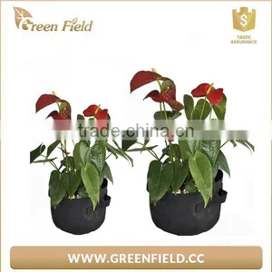 Green Field Best Selling Durable Using Wholesale Garden Felt Grow Bags thumbnail-5