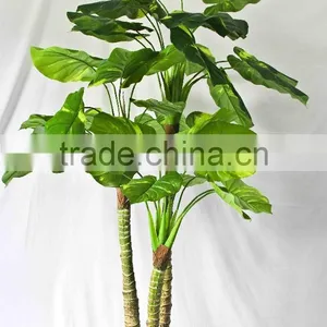 Wholesale Indoor Use Bonsai thumbnail-5