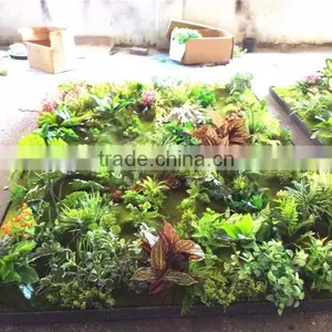 Home Garden Wedding Decoration 200cm*100cm Green Original Succulent With Moss Carpet Grass Wall E03 0501 thumbnail-2