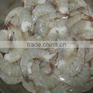 Shrimps Vannamei thumbnail-2