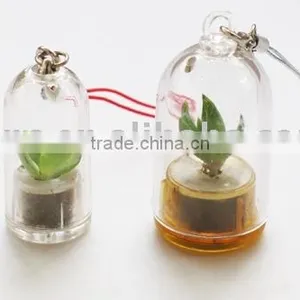 Plant Pet and Mini Plant Key Chain or Cell Phone Pendant thumbnail-1