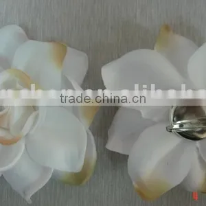 Rose thumbnail-1