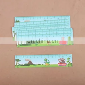 Custom 15cm 30cm PVC PP Flexible Plastic Ruler thumbnail-1