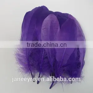 Wholesale Colorful Rooster Feather FH5014 thumbnail-5