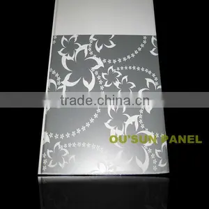 PVC Transparent Plastic Panel thumbnail-1