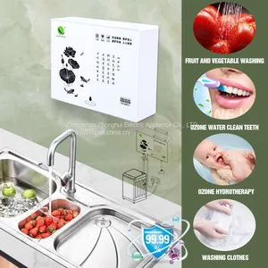 Wall Mounted Ozone Water Generator for Washing Clothes, Bathroom, Hotel, Kitchen, Food, Fruit Vegetable Ozone Water Washing Steril thumbnail-1