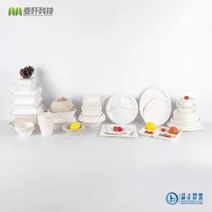 Disposable Biodegradable 6 INCH PLATE Take Away Sugarcane Outdoor Dining and Painting thumbnail-5