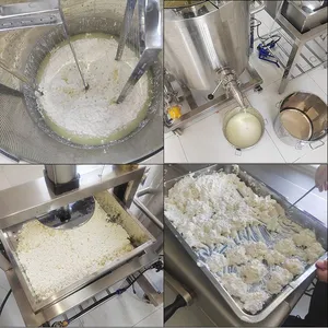 Fermented Milk, Cheese, Dairy Product Production Line, Whey Wine, Milk, Yogurt, Dairy Product Processing Machinery thumbnail-2