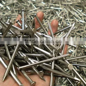 Common Nail thumbnail-3