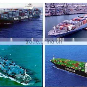 Shanghai Warehousing to Tampa thumbnail-1
