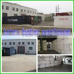 Henan Fukang Feather Co., Ltd. company overview - view 3 thumbnail