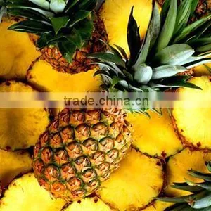 Fresh Pineapple thumbnail-1