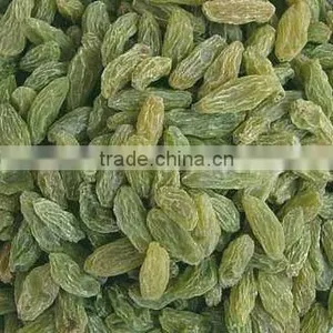 Green Raisin thumbnail-1