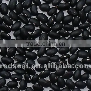 Small Black Kidney Beans thumbnail-1
