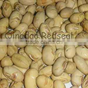 Delicious Roasted Soy Beans thumbnail-1