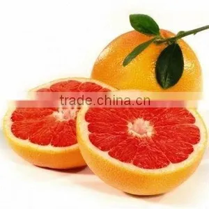 Grapefruit Oil thumbnail-1