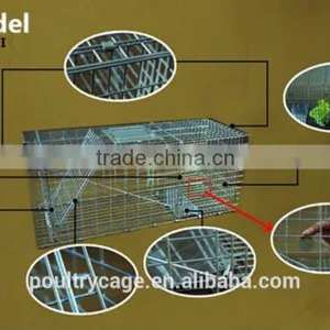 Factory Wholesale Zinc Plated Mouse Trap Cage And Mouse Trap Cage Construction thumbnail-4