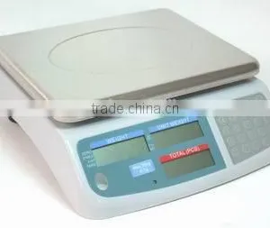 Electronic Counting Industrial Scale thumbnail-1