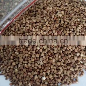 New Crop Chinese Roasted Buckwheat Kernel Brown Color Small Packing thumbnail-1
