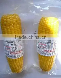 Vaccum Packaging Bag thumbnail-1
