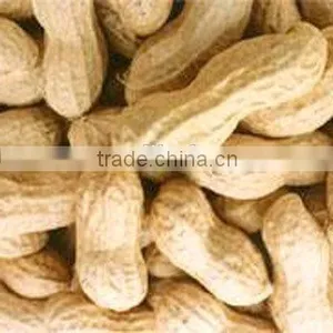 Delicious Roasted Peanuts in Shell for Sale thumbnail-1