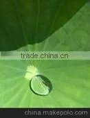 Eco Glass Coating Manufacturer/China thumbnail-1