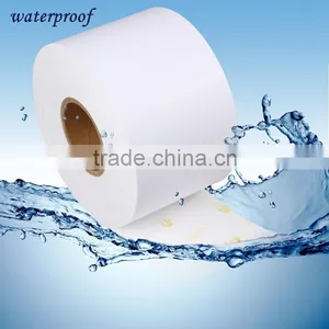 RC Roll Paper Waterproof,6"x100m for Epson D3000 thumbnail-2