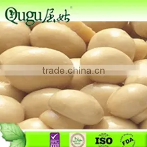 Canned Champignon Mushroom, Hight Quality Mushroom thumbnail-1