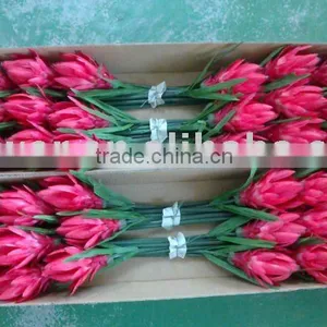 High Quality Artificial Plant thumbnail-1