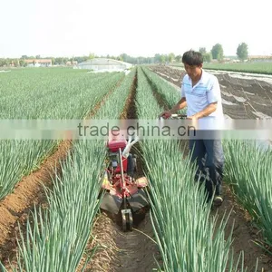 Narrow Plot Walking Onion Cultivation Tractor Machine Iron Wheel Walking thumbnail-1