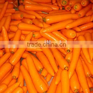 Chinese Fresh Carrot thumbnail-1