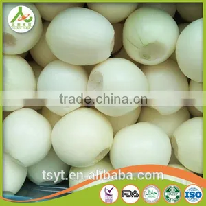 Fresh Yellow Small Onion in China thumbnail-2