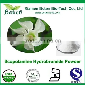 Scopolamine Hydrobromide thumbnail-1