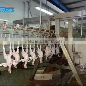 Poultry Abattoir Equipment From China thumbnail-2