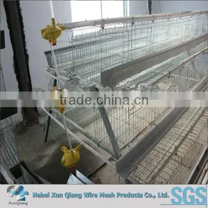 Better Factory A and H Type Bird Chicken Layer Cage thumbnail-1