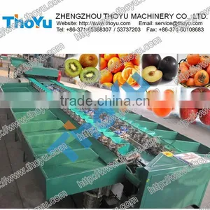 2014 Fruit Sorting Machine / Fruit Processing Machine in ThoYu thumbnail-1