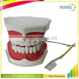 Handmade Plastic Dental Jaws Human Teeth Model thumbnail-1