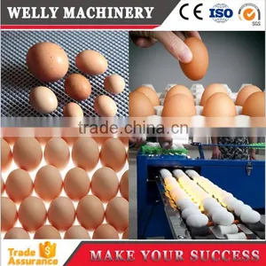 Factory Supply Egg Grading Machine 3500-4500pcs/h thumbnail-5