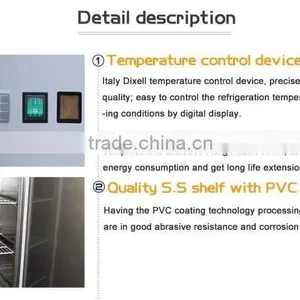 304 Stainless Steel Good Quality Hotel Refrigerator/Kitchen Refrigerator/Gas Operated Refrigerator thumbnail-2