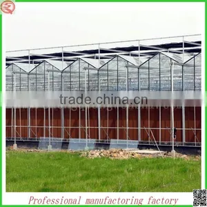 Low Cost Venlo SQ-10.0 Glass Greenhouses With Best Service thumbnail-6