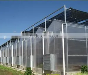 Greenhouse Seal PC Sheet for Agriculture thumbnail-1