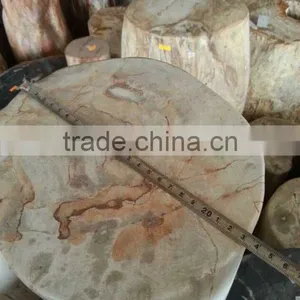 Petrified /fossilized Wood,Luxary Nature Decorative Stone,high Value for Collection thumbnail-4
