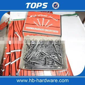 Polish Common Nail Iron Nail Factory thumbnail-4