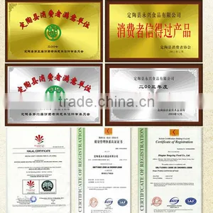 Dry Yeast Bakery With High Quality thumbnail-1