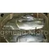 Motorcycle Mould thumbnail-1