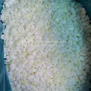 Frozen Onion Diced thumbnail-5